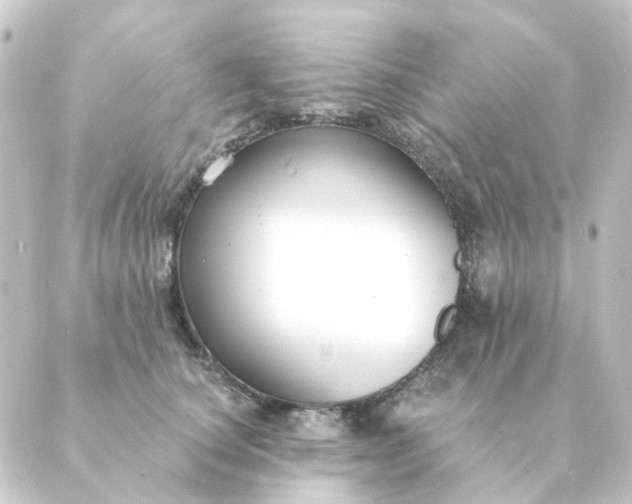 X0000088880660200706221816