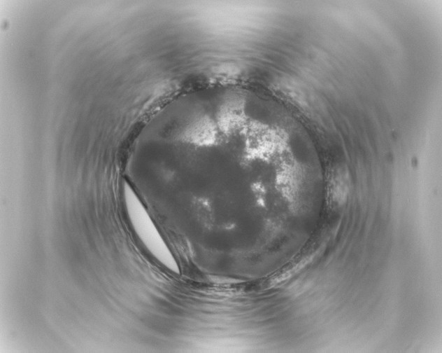 X0000088880661200706221816