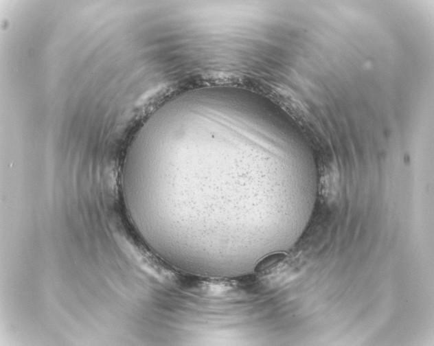 X0000088880662200706221816