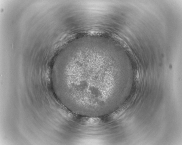 X0000088880663200706221816