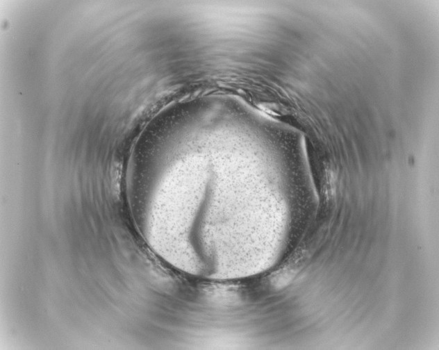 X0000088880664200706221816