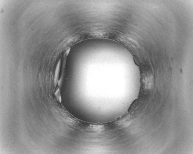 X0000088880665200706221816