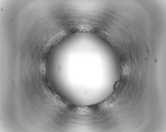 X0000088880666200706221816