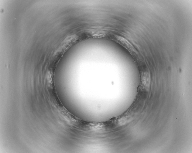 X0000088880667200706221816