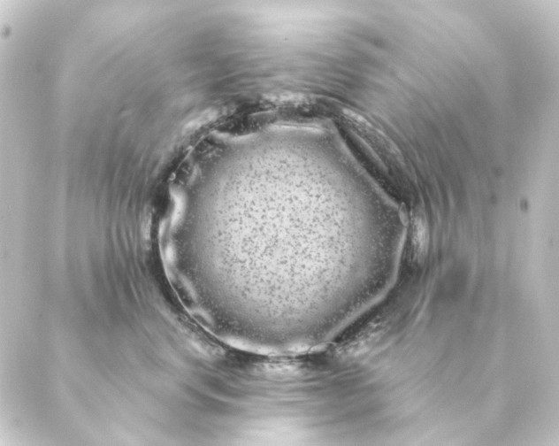 X0000088880668200706221816