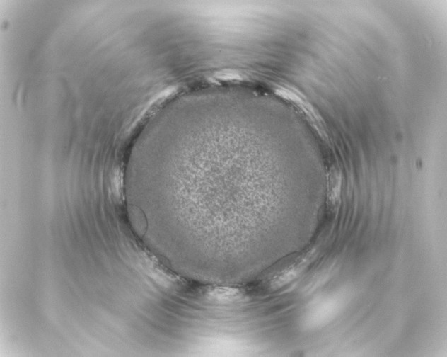 X0000088880669200706221816