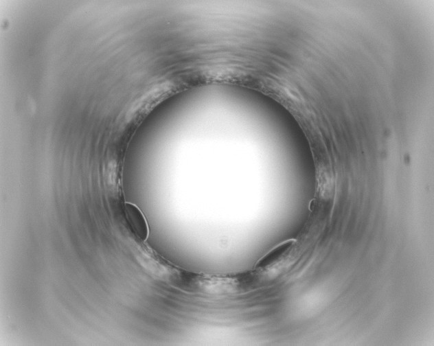 X0000088880670200706221816