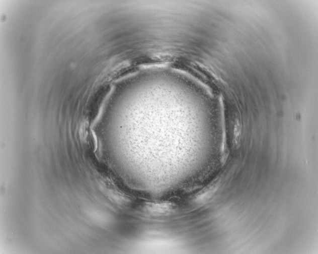 X0000088880671200706221816