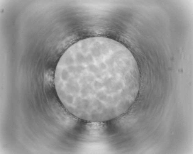 X0000088880672200706221816