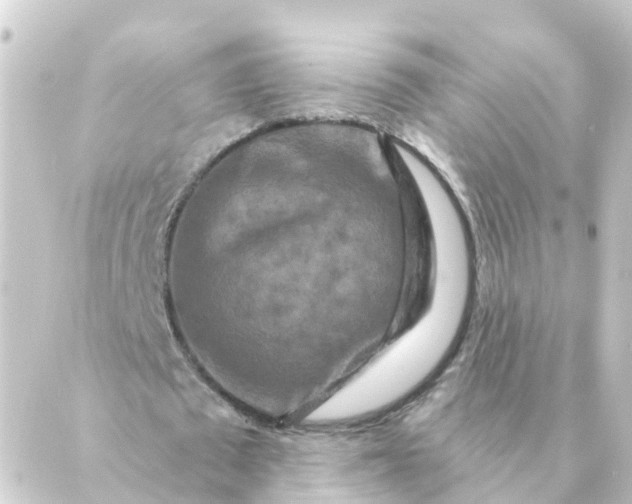 X0000088880673200706221815