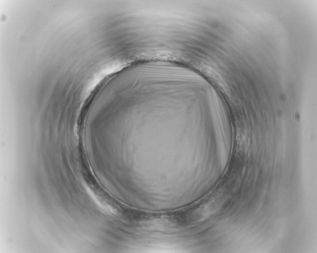 X0000088880674200706221815