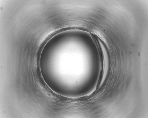 X0000088880676200706221815