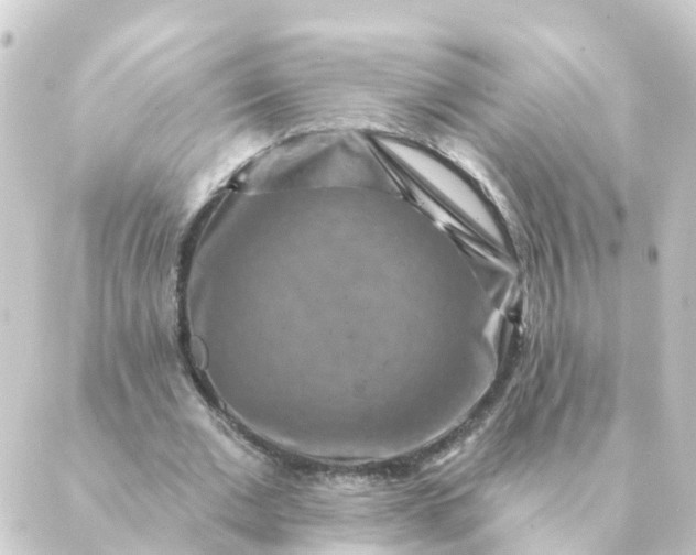 X0000088880677200706221815