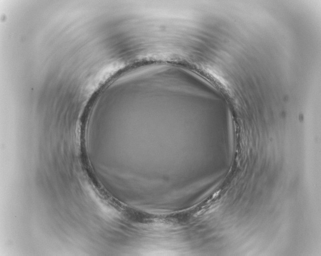 X0000088880678200706221815