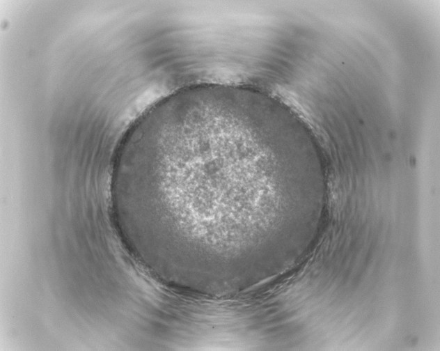 X0000088880679200706221815