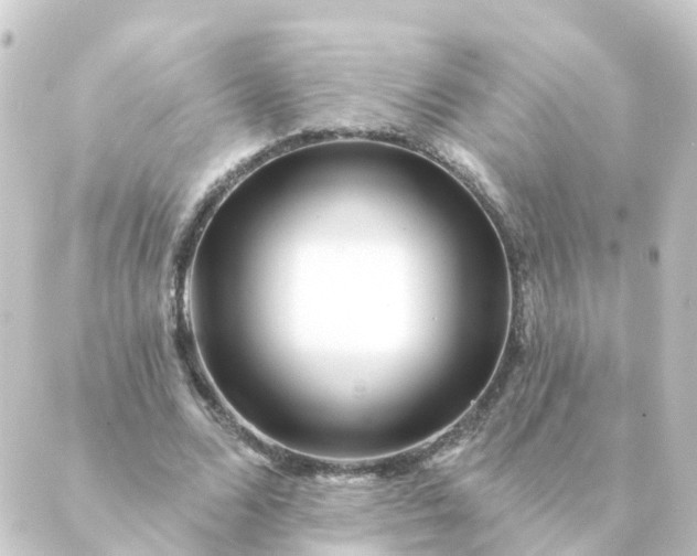 X0000088880680200706221815