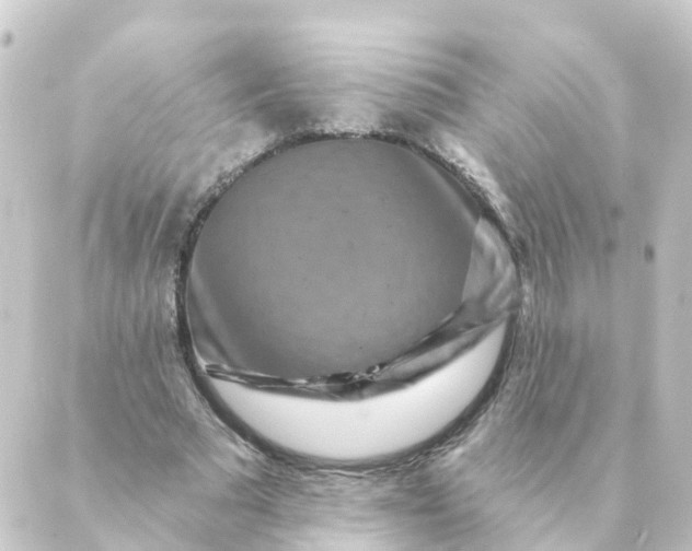 X0000088880681200706221815