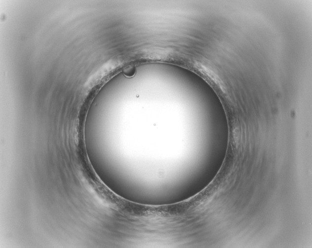 X0000088880682200706221815