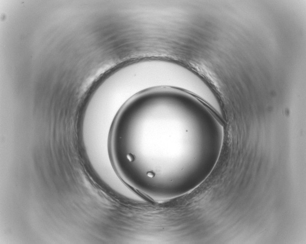 X0000088880684200706221815