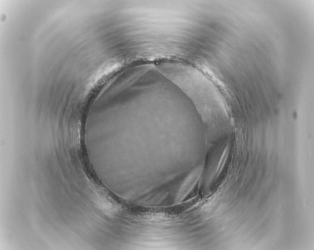 X0000088880685200706221815