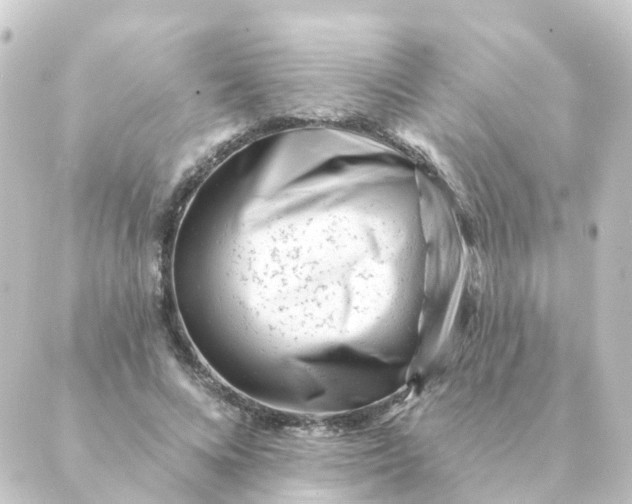 X0000088880688200706221815