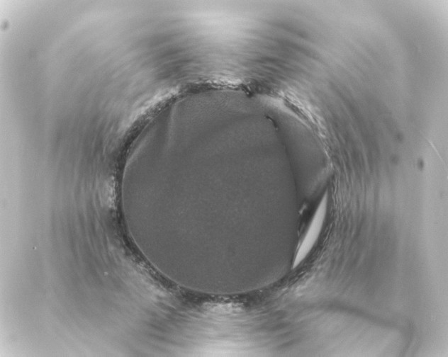 X0000088880689200706221815