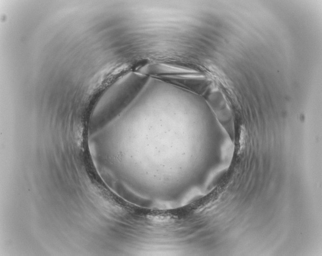 X0000088880693200706221815