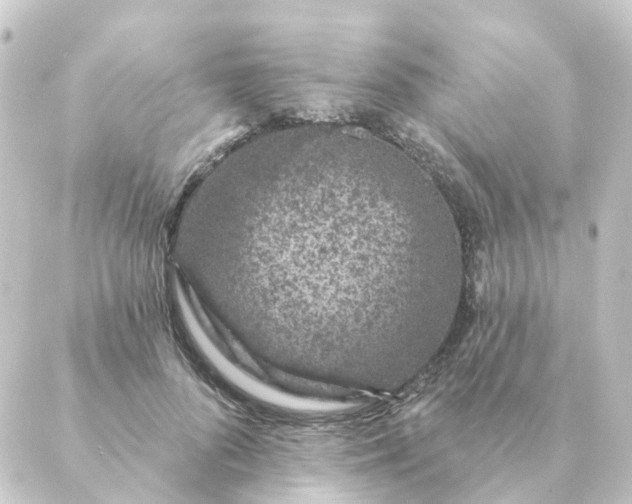 X0000088880696200706221815