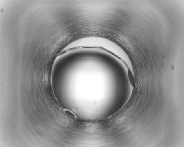 X0000088880697200706221815