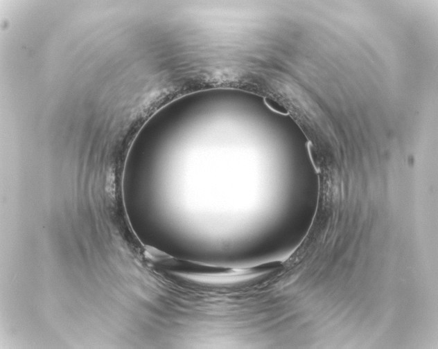 X0000088880700200706221815