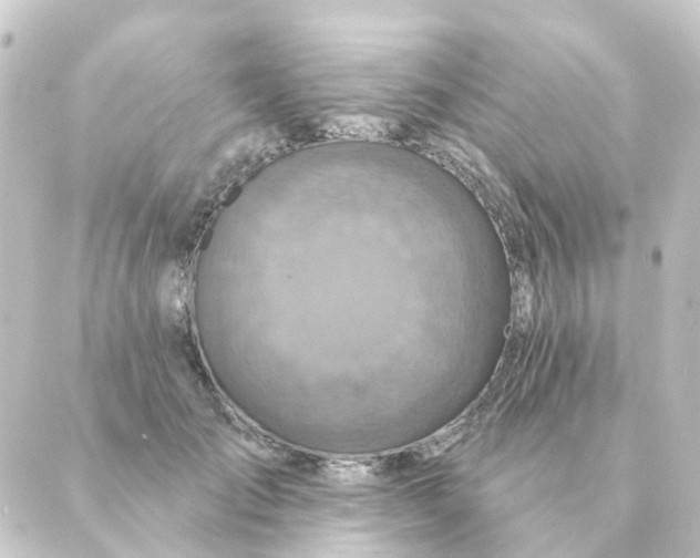 X0000088880701200706221815