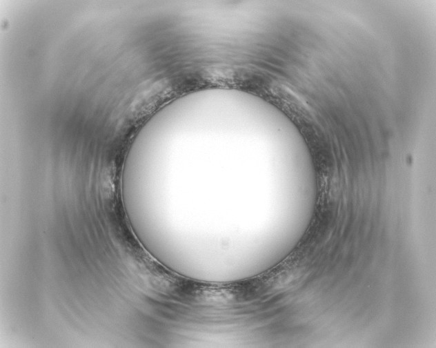 X0000088880702200706221815