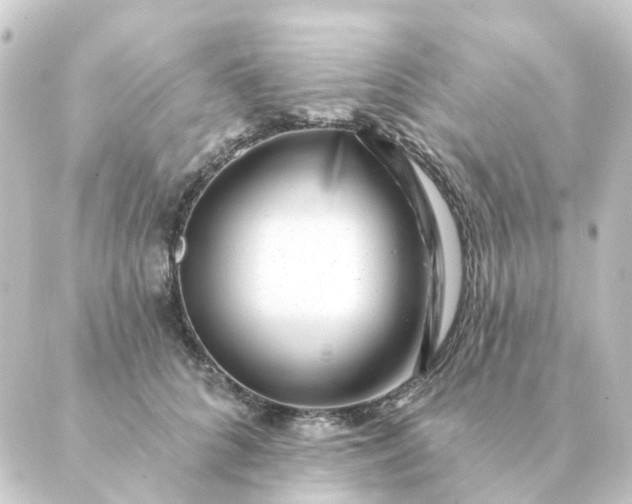 X0000088880704200706221815