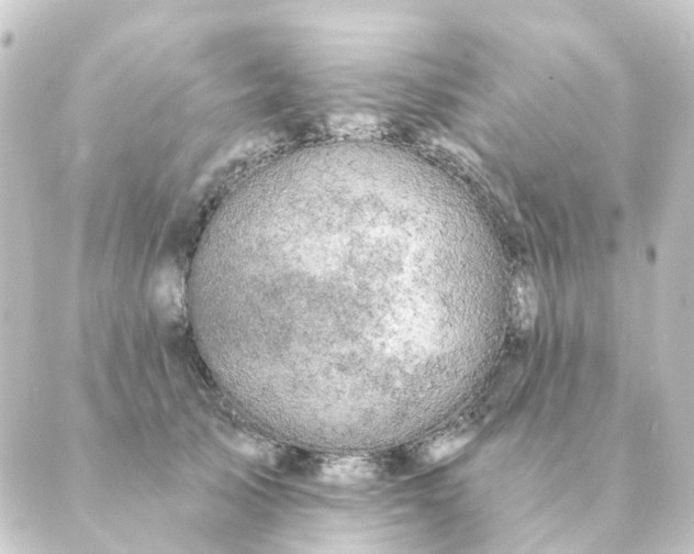 X0000088880705200706221815