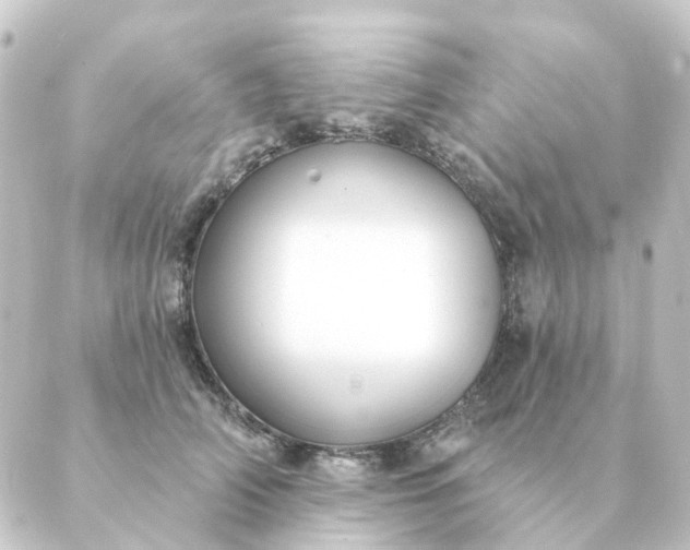 X0000088880706200706221815