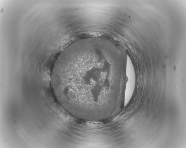 X0000088880707200706221815