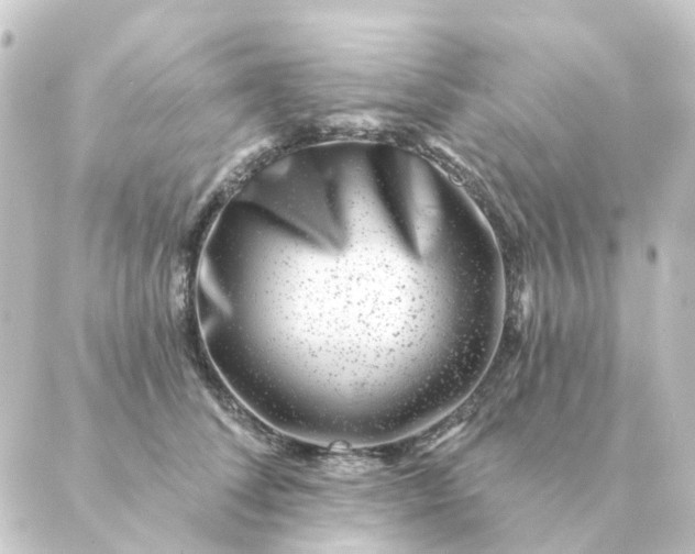 X0000088880708200706221815