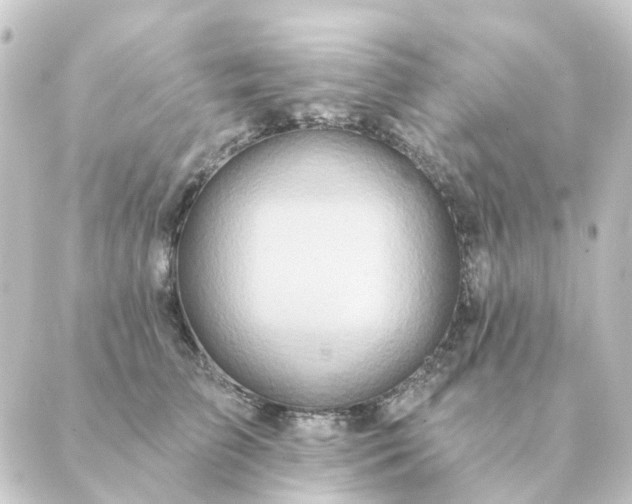 X0000088880709200706221815