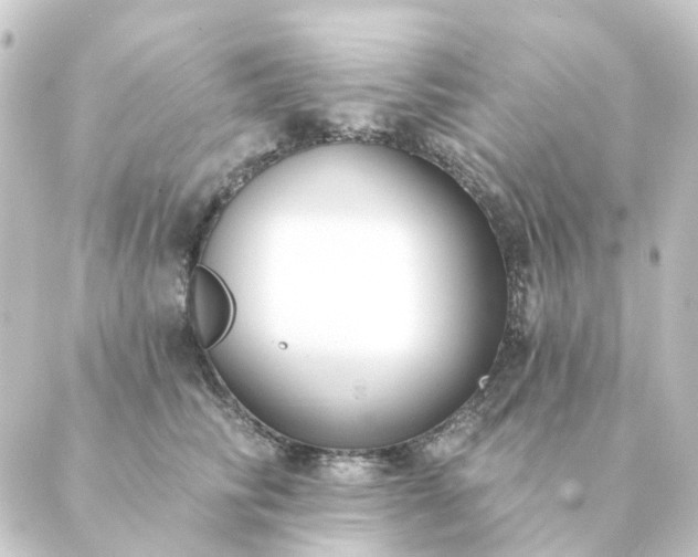 X0000088880710200706221815