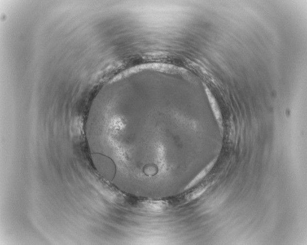 X0000088880711200706221814