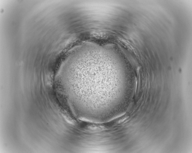 X0000088880712200706221814