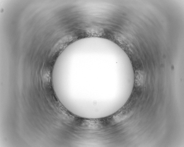 X0000088880713200706221814