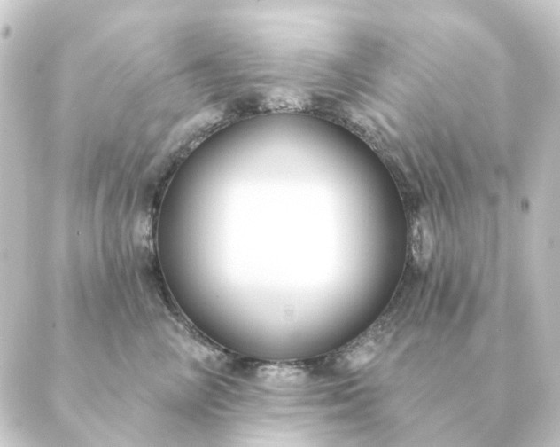 X0000088880714200706221814