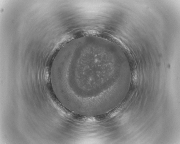 X0000088880715200706221814