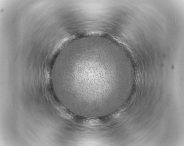 X0000088880716200706221814