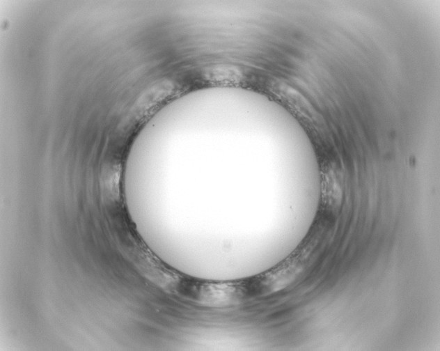 X0000088880717200706221814