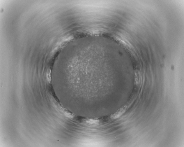 X0000088880718200706221814