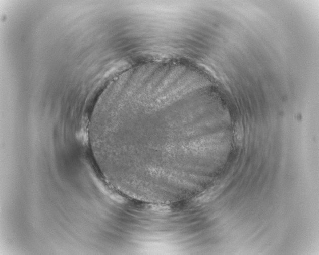 X0000088880719200706221814