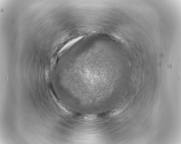 X0000088880720200706221814