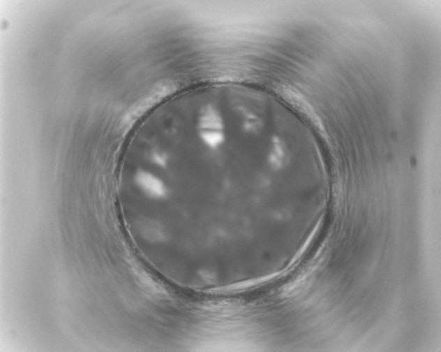 X0000088880721200706221814